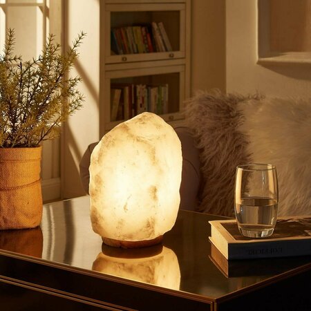 LIGHTING BUSINESS Eamon Salt Lamp with 8 Color Modes LI3640089